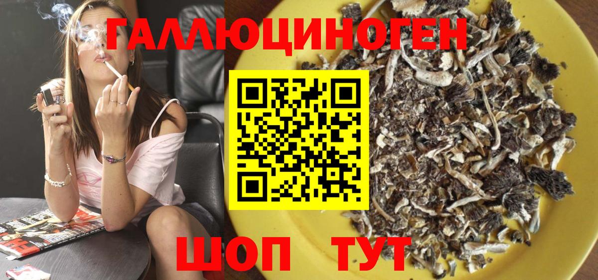 Галлюциногенные грибы прущие грибы Южно-Сахалинск