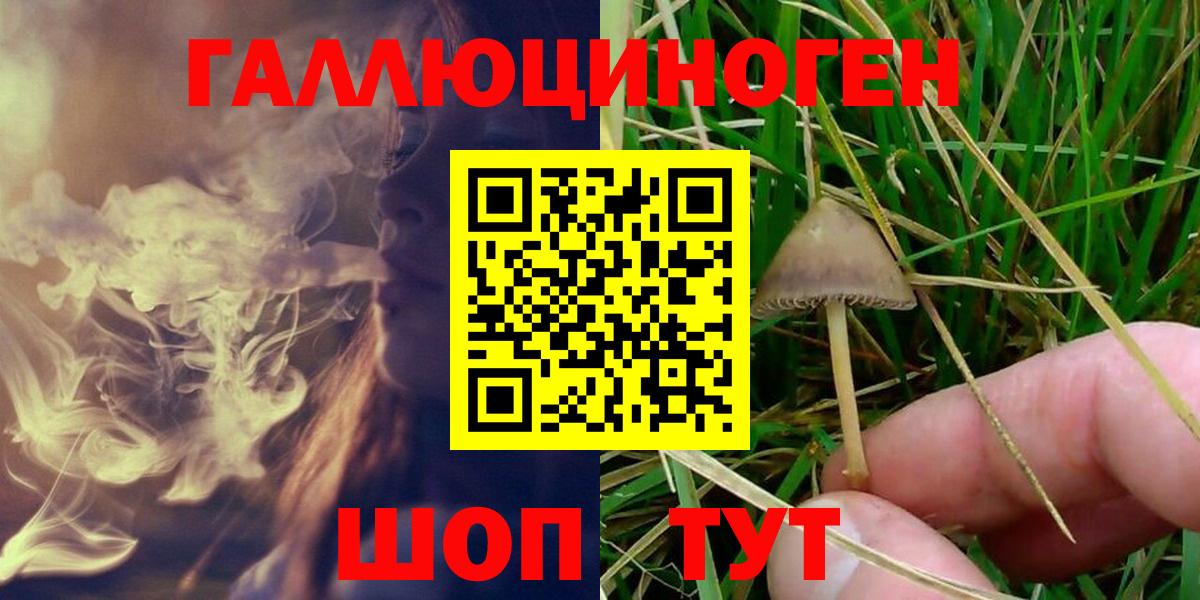 Южно-Сахалинск  Псилоцибиновые грибы мухоморы  Вход с VPN  Галлюциногенные грибы Cubensis 